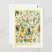Vintage Blume Botanische Illustration Postkarte (Vorne/Hinten)