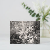 Vintage Blume der Tiger-Lilie Postkarte (Stehend Vorderseite)