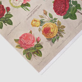 Vintage Blume für Decoupage oder Collage Paper Seidenpapier (Ausschnitt)