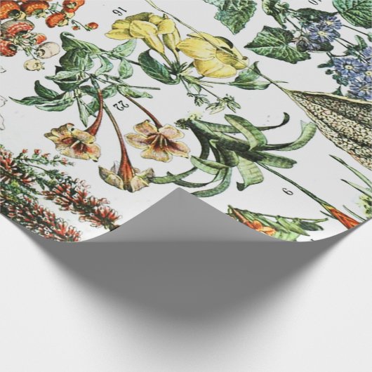 Vintage Blume Geschenkpapier (Ecke)