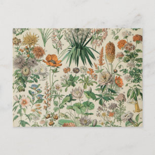 Vintage Blume Illustration Adolphe Millot Postkarte