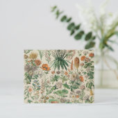 Vintage Blume Illustration Adolphe Millot Postkarte (Stehend Vorderseite)