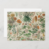 Vintage Blume Illustration Adolphe Millot Postkarte (Vorne/Hinten)