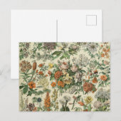 Vintage Blume Illustration Adolphe Millot Postkarte (Vorne/Hinten)