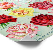 Vintage Blume Illustration Poster (Ecke)