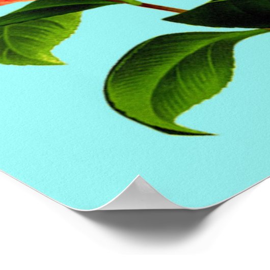 Vintage Blume Kamelien Poster (Ecke)