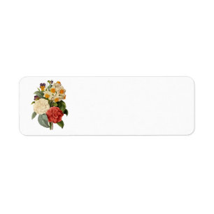 Vintage Blume, Kamelien und Narzissen, Redoute