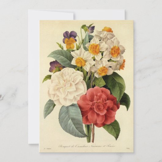 Vintage Blume, Kamelien und Narzissen, Redoute (Vorderseite)