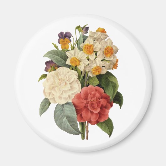 Vintage Blume, Kamelien und Narzissen, Redoute Magnet (Vorne)