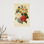 Vintage Blume, Kamelien und Narzissen, Redoute Poster (Küche)