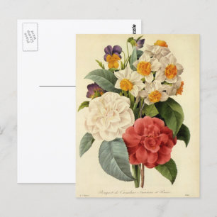 Vintage Blume, Kamelien und Narzissen, Redoute Postkarte