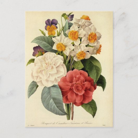 Vintage Blume, Kamelien und Narzissen, Redoute Postkarte (Vorderseite)