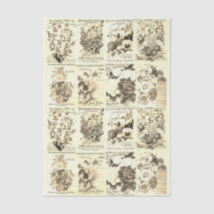 Vintage Blume - Katalog Beige Seidenpapier