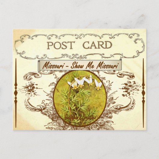 Vintage Blume Missouri Staat Postkarte (Vorderseite)