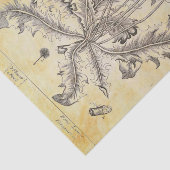 Vintage Blume mit Roots Decoupage Seidenpapier (Ausschnitt)