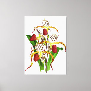 Vintage Blume mit weißer Orchidee - Canvas Print Leinwanddruck