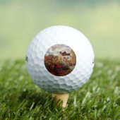 Vintage Blume Monte Garteni Golfball (Insitu T-Shirt)