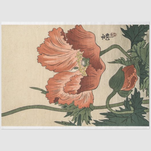Vintage Blume Poppy von Ohara Koson Seidenpapier (Vorderseite)