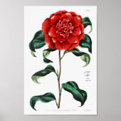 Vintage Blume Poster (Vorne)