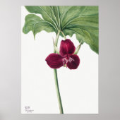 Vintage Blume Poster (Vorne)