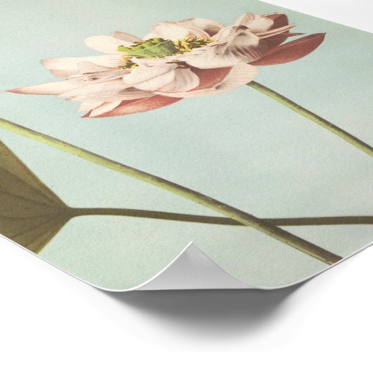 Vintage Blume Poster (Ecke)