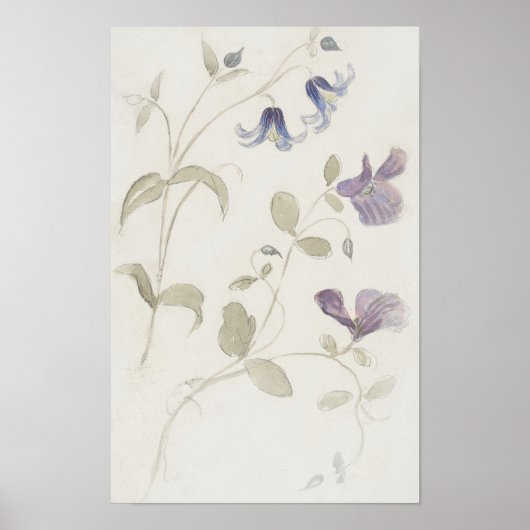 Vintage Blume Poster (Vorne)