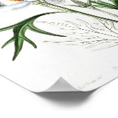 Vintage Blume Poster (Ecke)