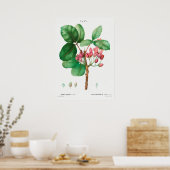Vintage Blume Poster (Küche)