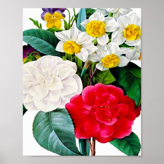 Vintage Blume Poster (Vorne)