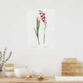 Vintage Blume Poster (Küche)
