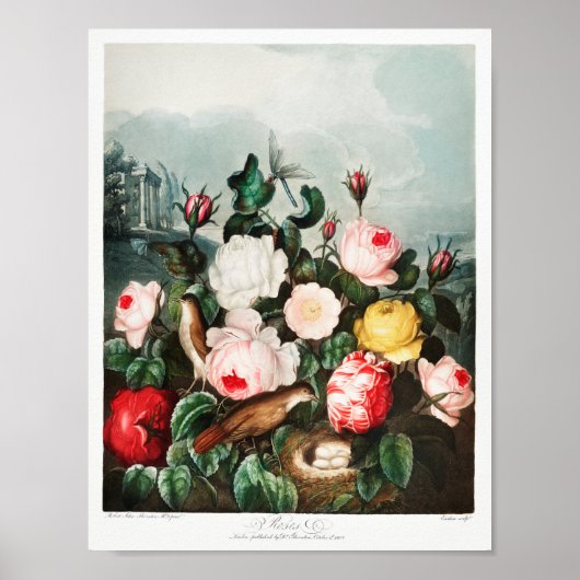 Vintage Blume Poster (Vorne)