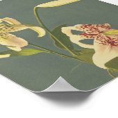 Vintage Blume Poster (Ecke)