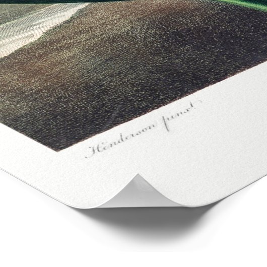 Vintage Blume Poster (Ecke)