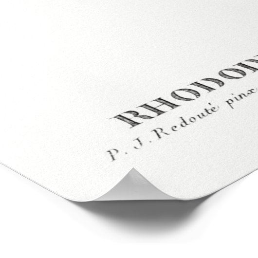 Vintage Blume Poster (Ecke)