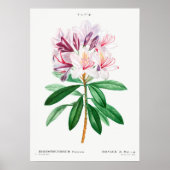 Vintage Blume Poster (Vorne)