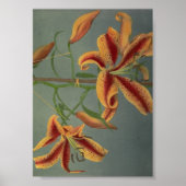 Vintage Blume Poster (Vorne)