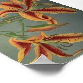 Vintage Blume Poster (Ecke)