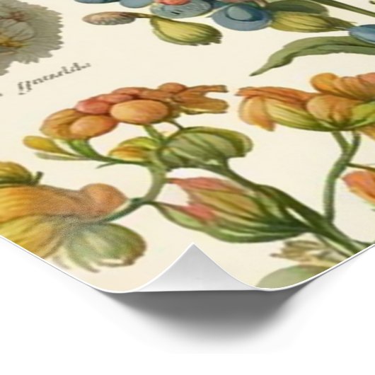 Vintage Blume Poster (Ecke)