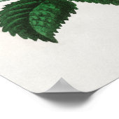 Vintage Blume Poster (Ecke)