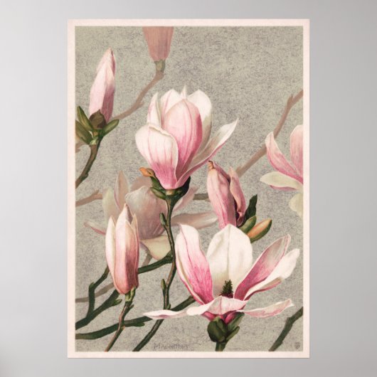 Vintage Blume Poster (Vorne)