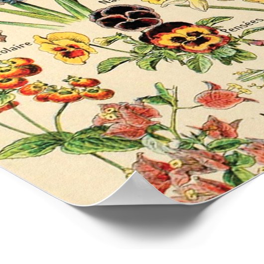 Vintage Blume Poster (Ecke)