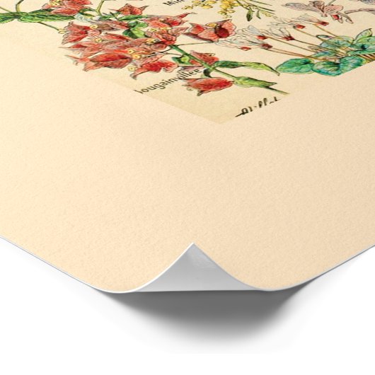 Vintage Blume Poster (Ecke)