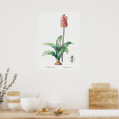 Vintage Blume Poster (Küche)