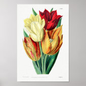 Vintage Blume Poster (Vorne)