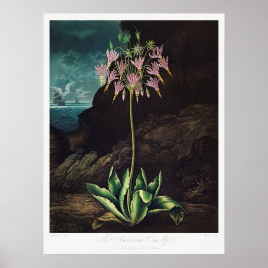 Vintage Blume Poster (Vorne)