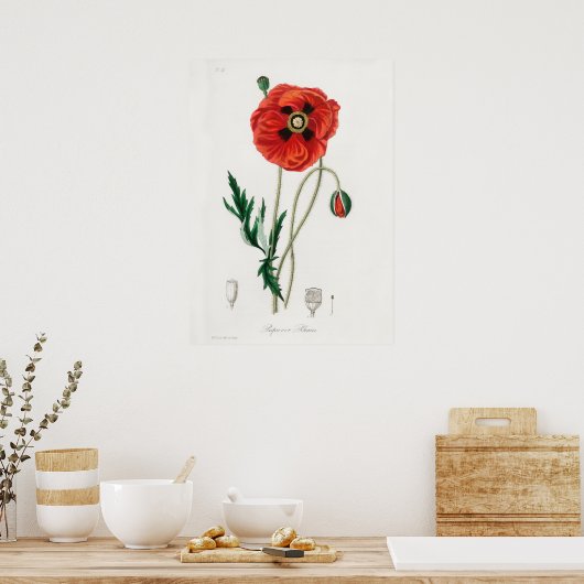 Vintage Blume Poster (Küche)