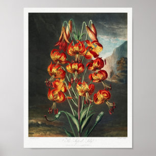 Vintage Blume Poster