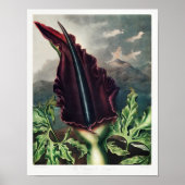 Vintage Blume Poster (Vorne)