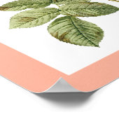 Vintage Blume Poster 2 (Ecke)