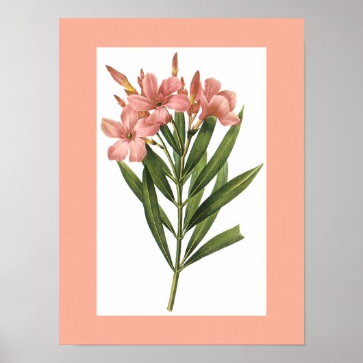 Vintage Blume Poster 3 (Vorne)